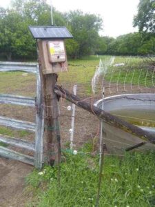 Considerations for Electric Goat Fencing, Part 1 Image